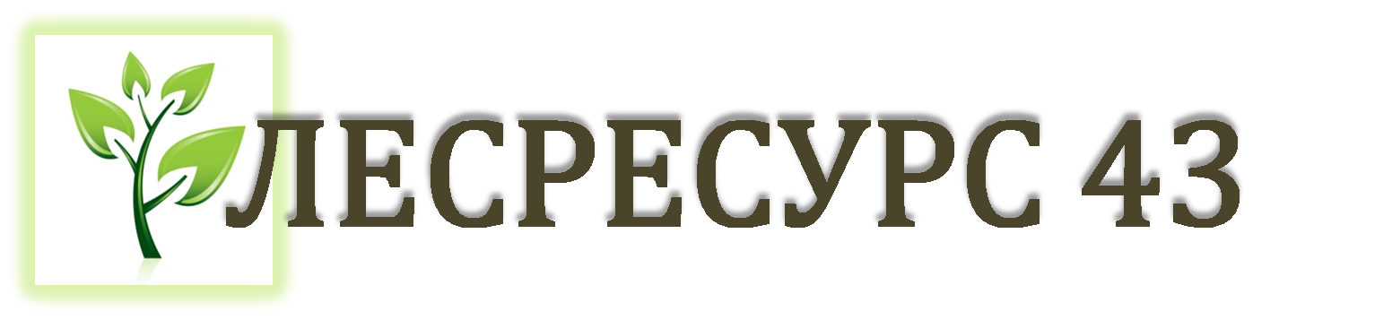 ЛесРесур43