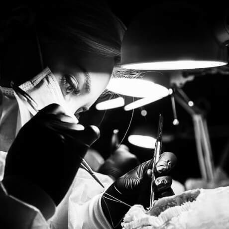 Анастасия Смолякова