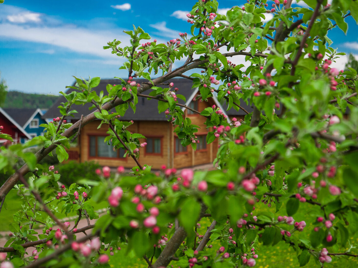 Отдых на буднях со скидкой