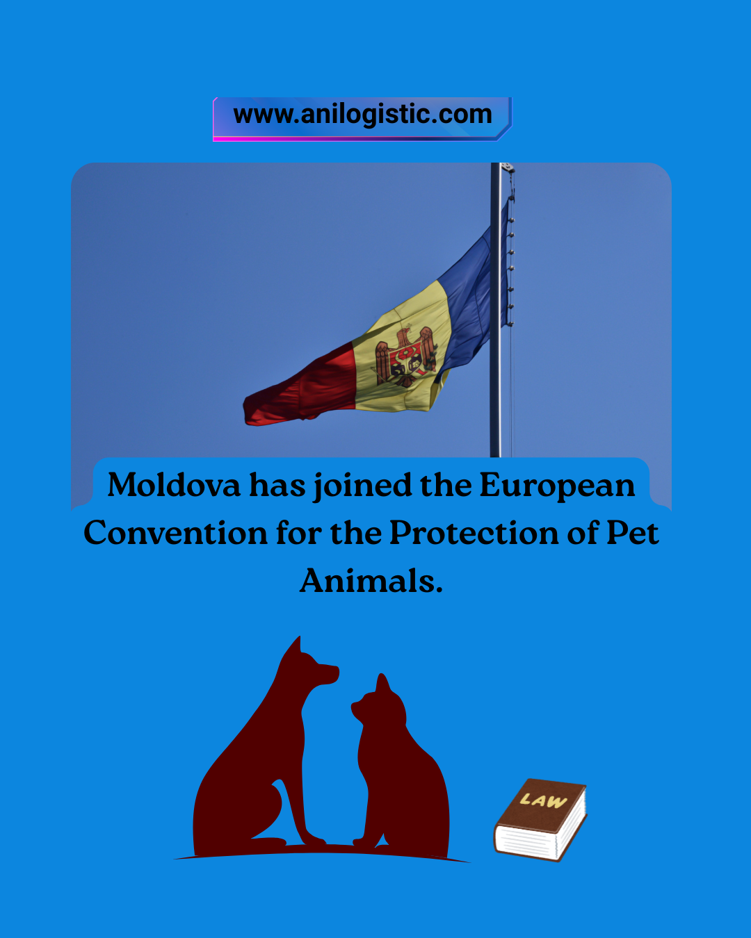 Moldova joins the European Convention for the Protection of Pet Animals — new rules from September 1, 2025