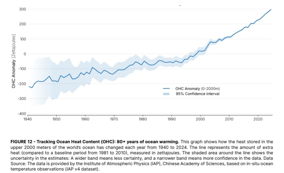 C:\Users\U S E R\Downloads\1000043151.jpg