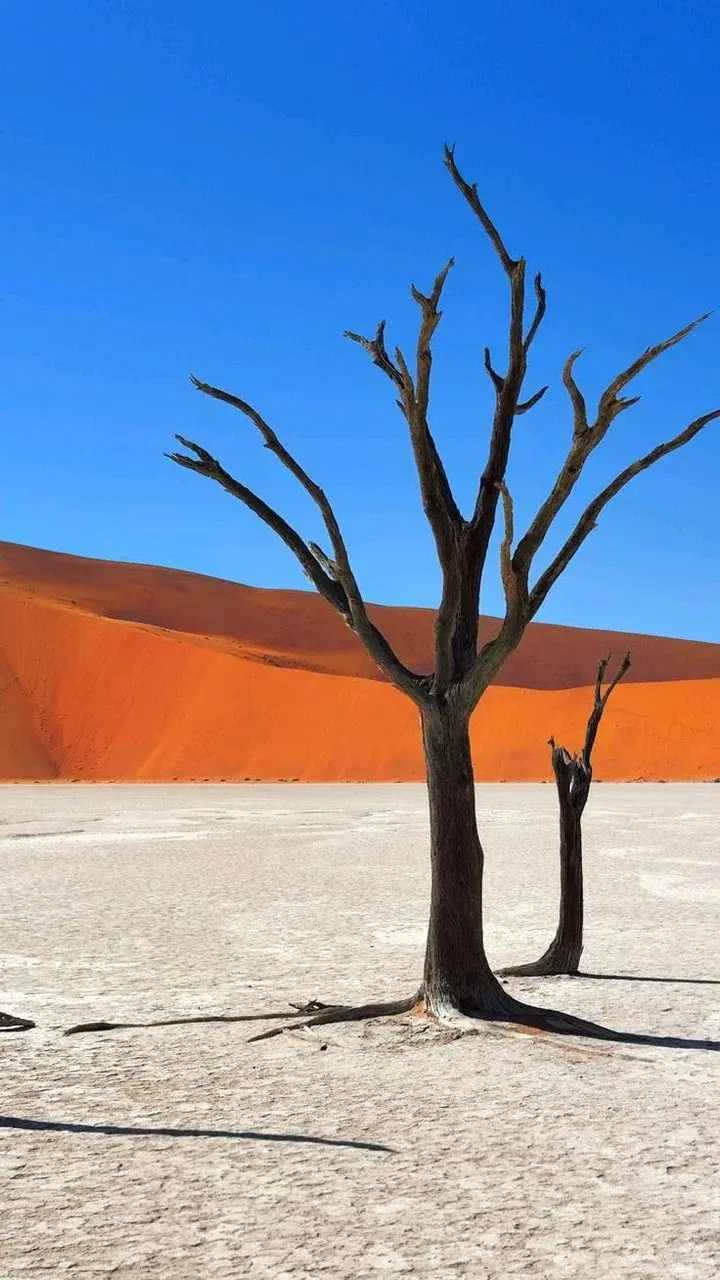 Дюны Sossusvlei в Намибии