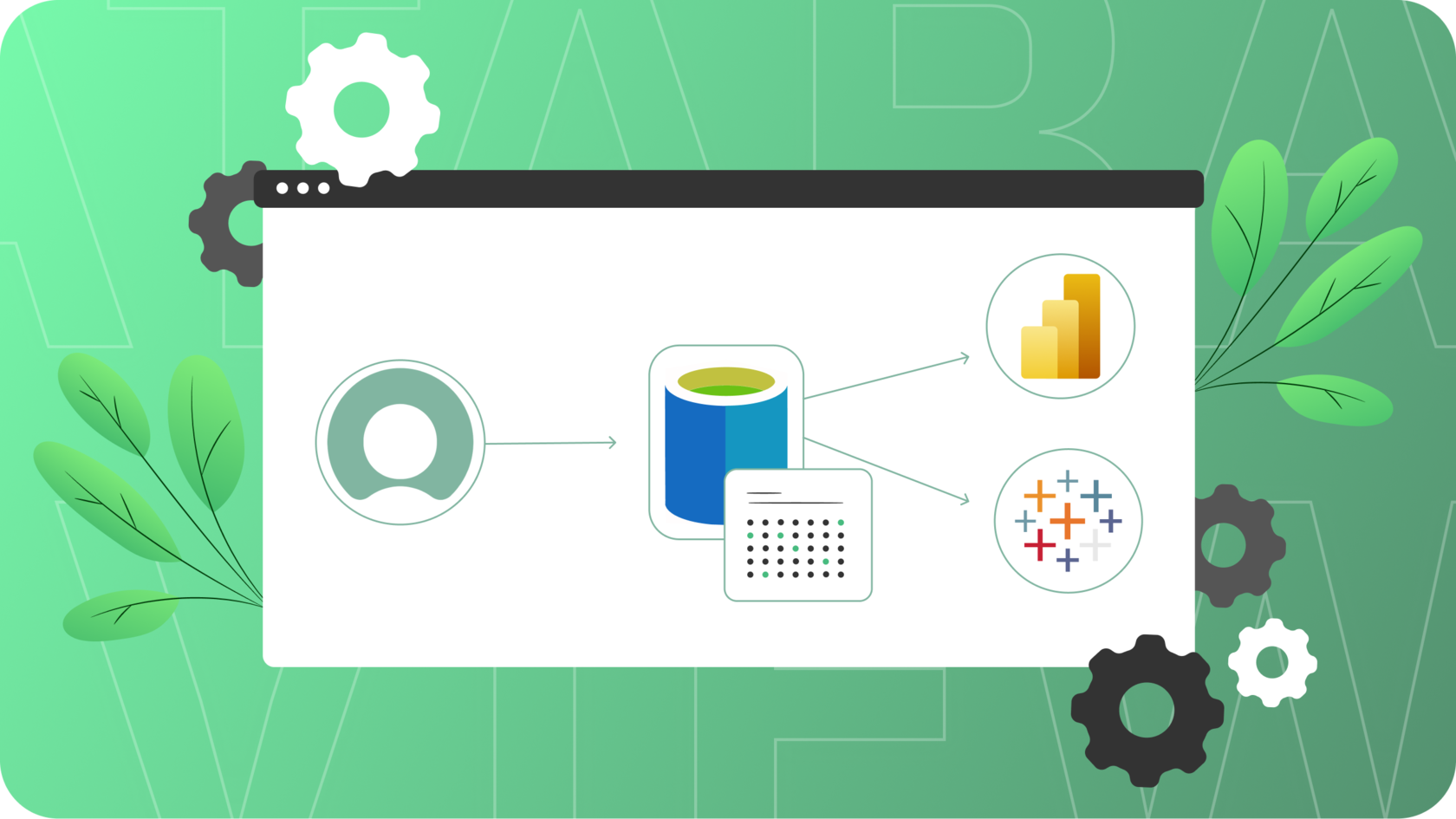 Data Export from Database Views Now Possible with Power BI and Tableau