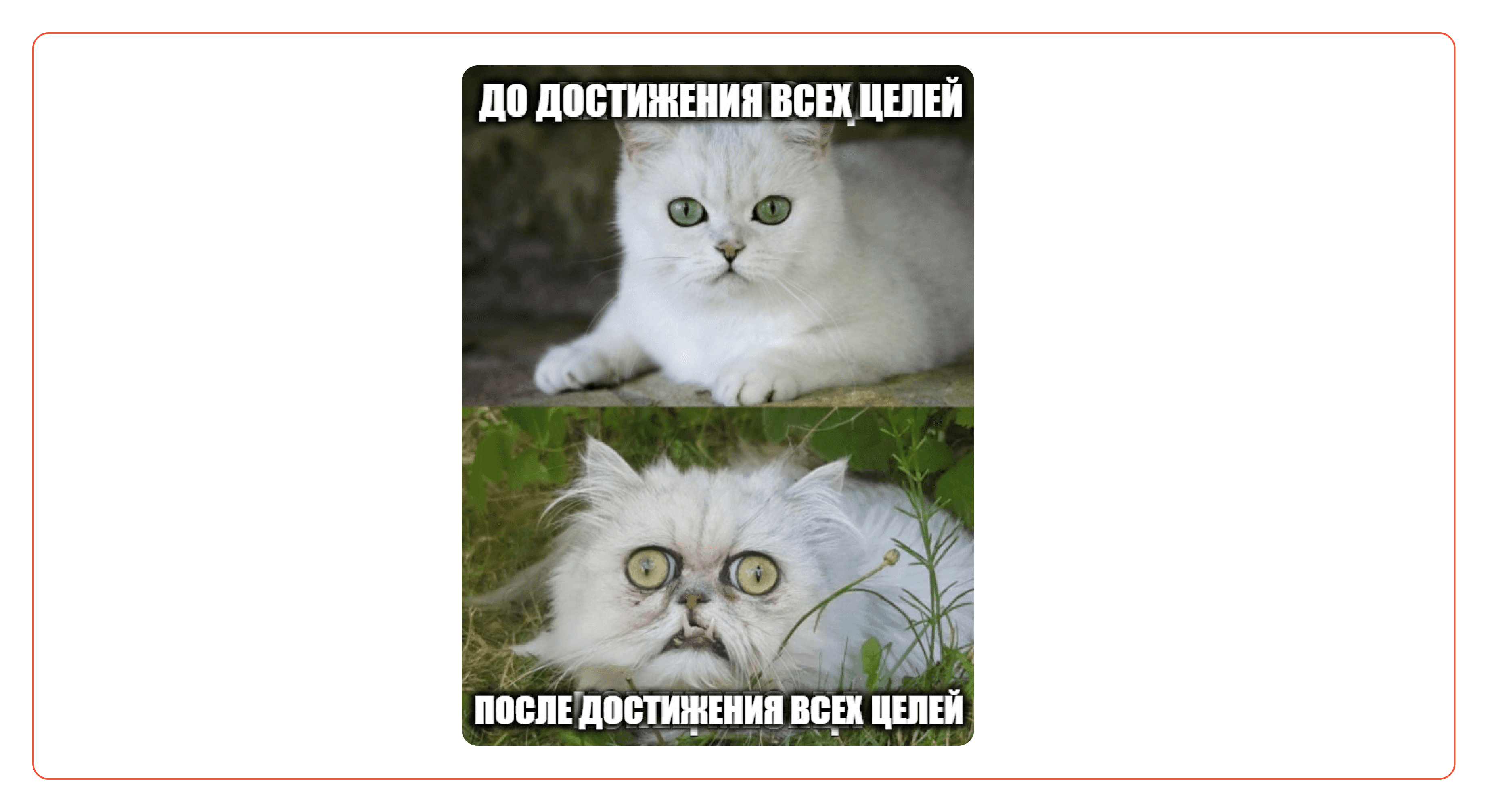  Достижение целей