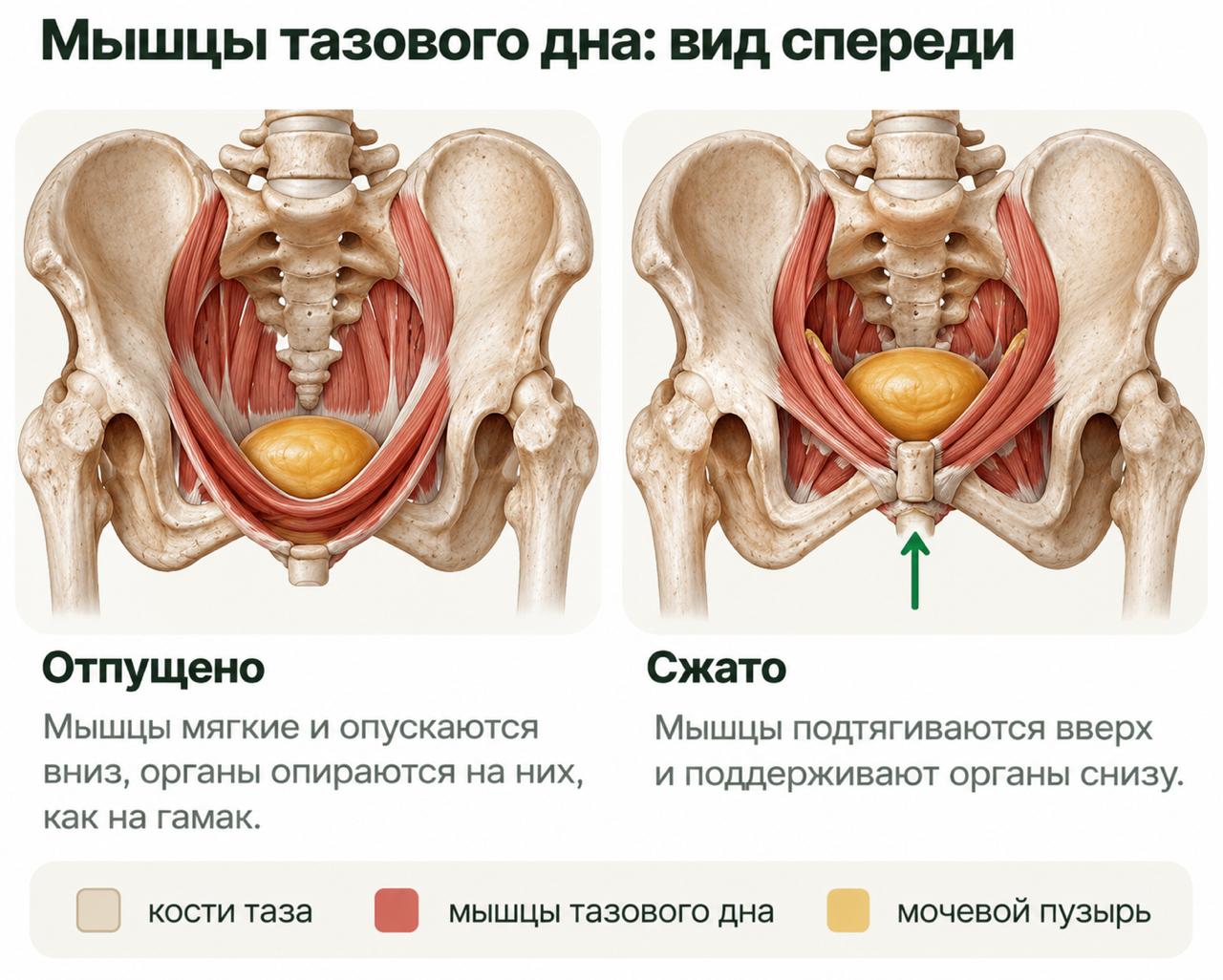 Алёна Тихонова