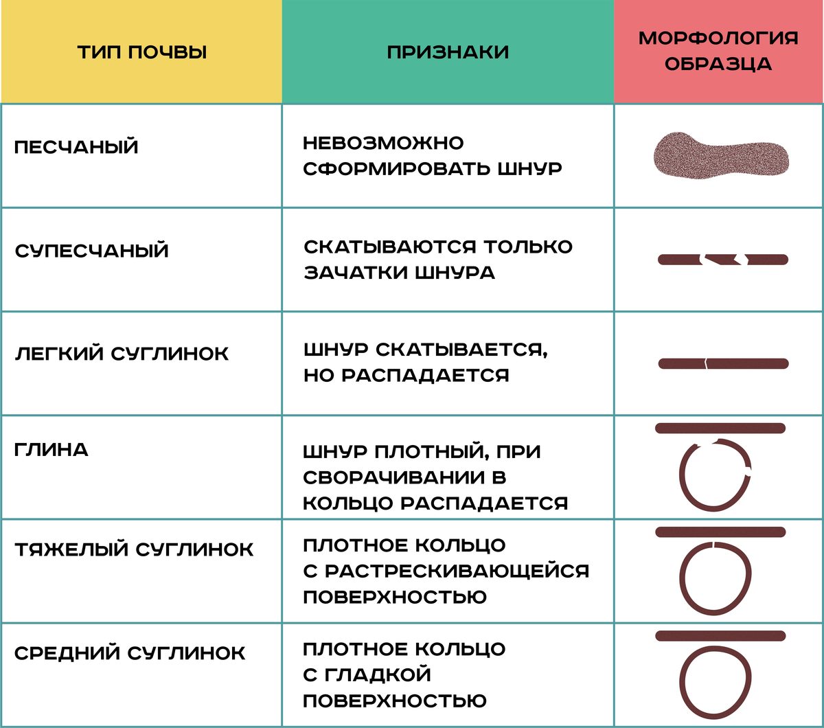 Как посадить дерево?