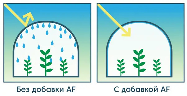 Пленка с AF 