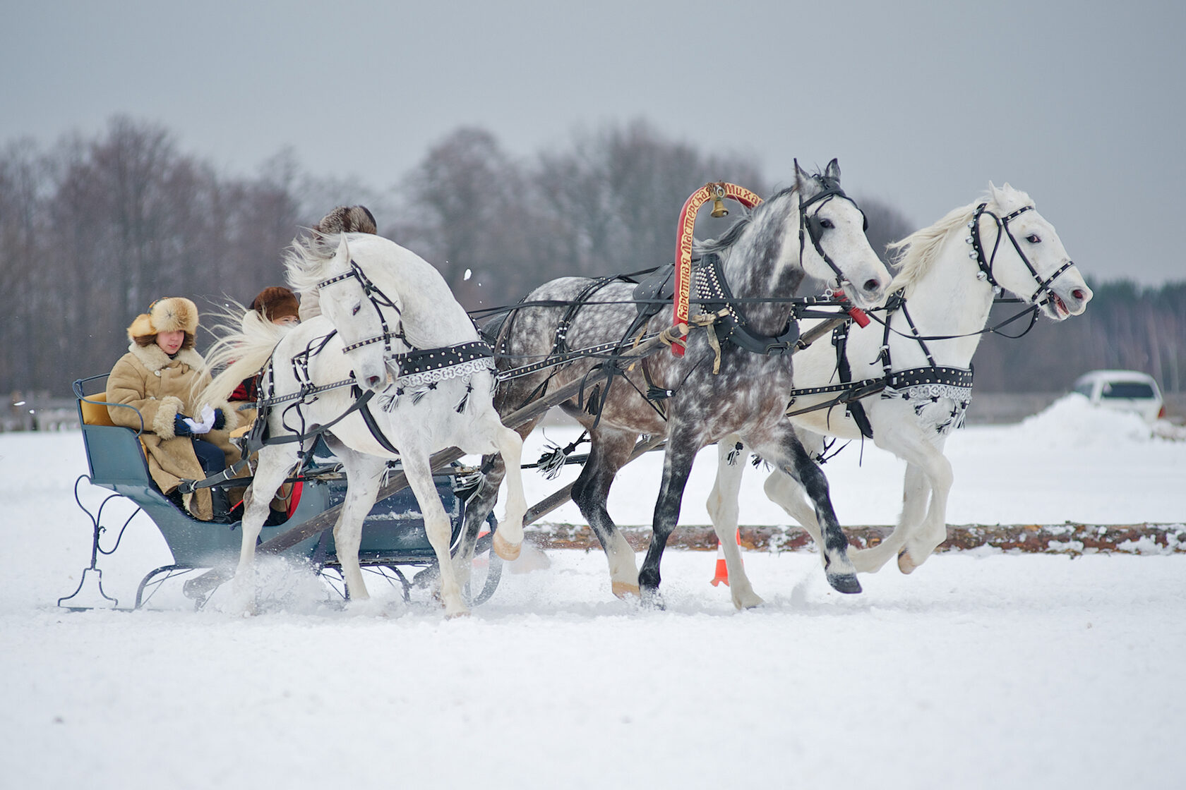 Тройка зимних лошадей. Тройка лошадей. Тройка белых лошадей. Тройка лошадей зимой. Русская тройка белых лошадей.
