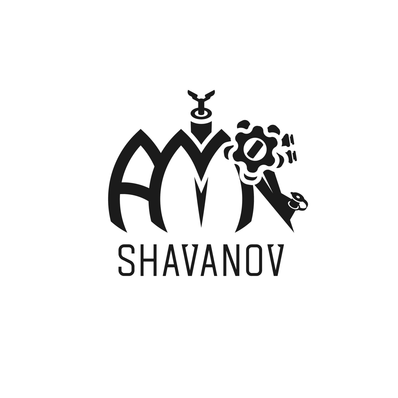 Шаванов Амир Шамильевич