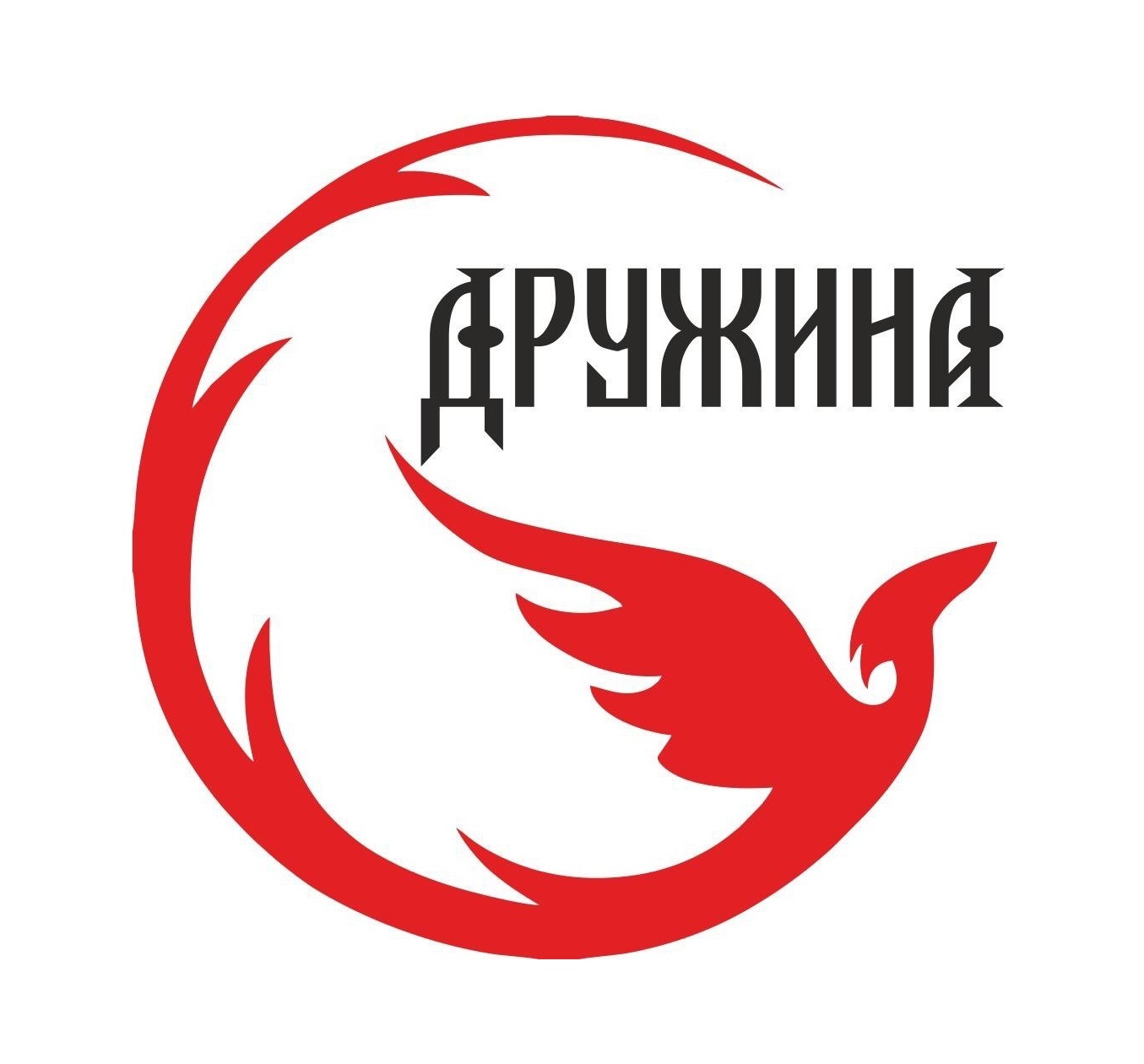 ДРУЖИНА