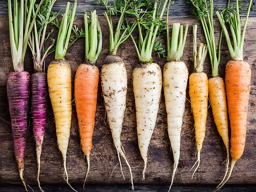 Colorful assortment of carrots, including purple, orange, and yellow varieties, with green tops, displayed on a wooden surface, highlighting options for indoor container gardening.
