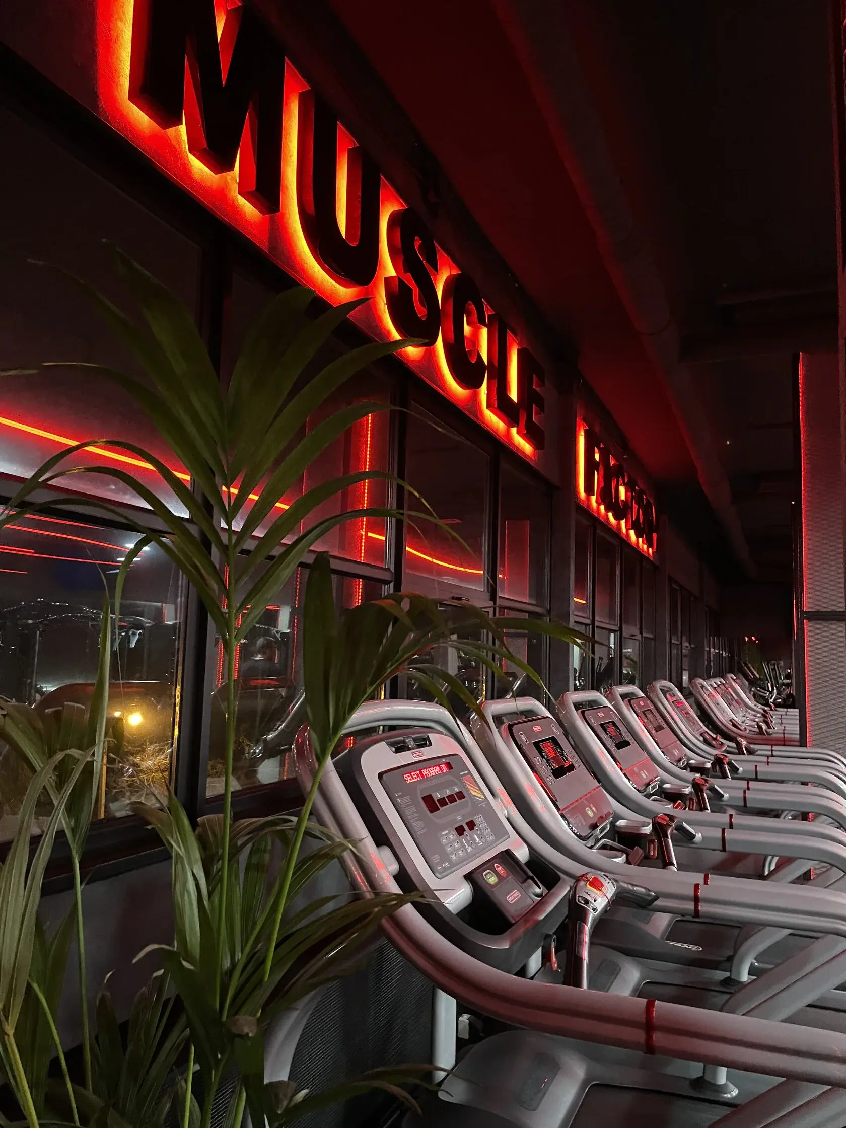 Тренажёрный зал CASTA — зона свободных весов