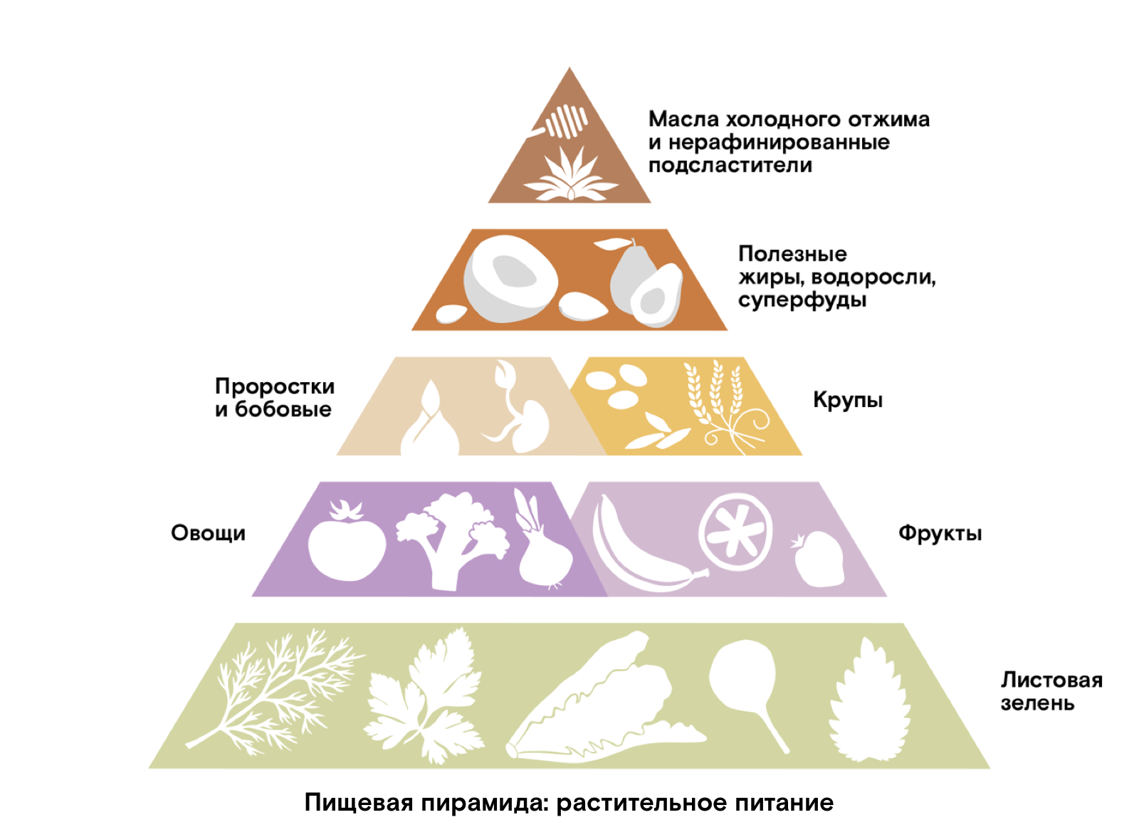 Есть ли разница между растительным и животным белком? И может ли  растительный белок заменить животный?