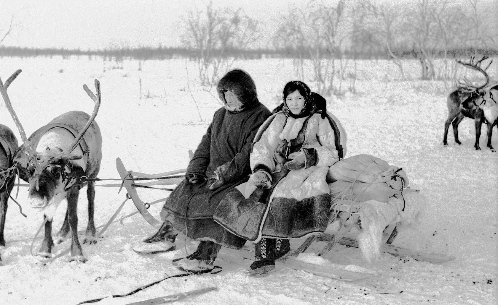 Нганасаны самый северный народ. Северные народы.