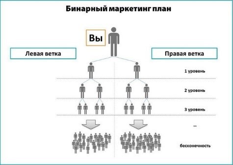 Бинарный маркетинговый план в Atomy