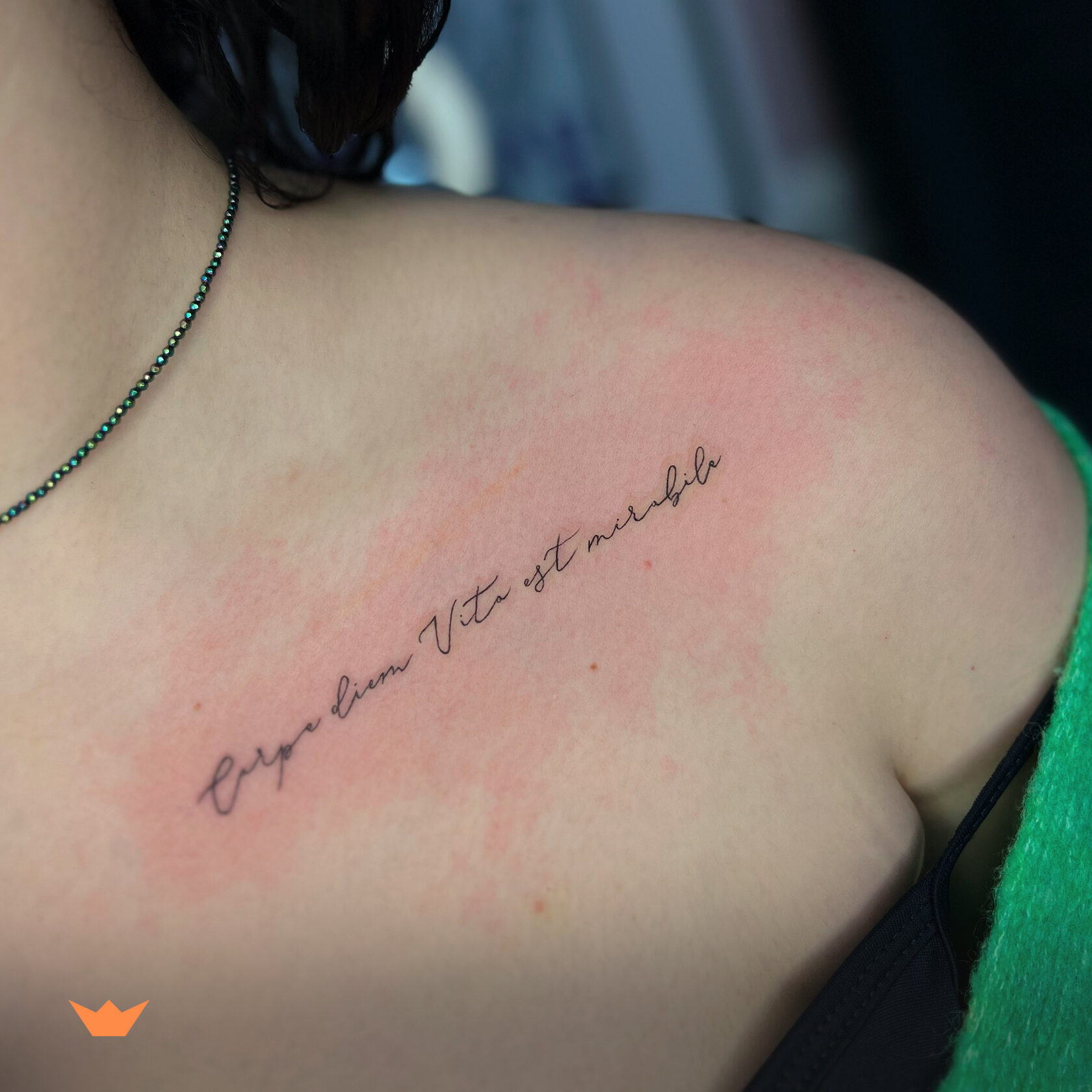 Высказывания, фразы для тату на латыни с переводом - Tattoo Today