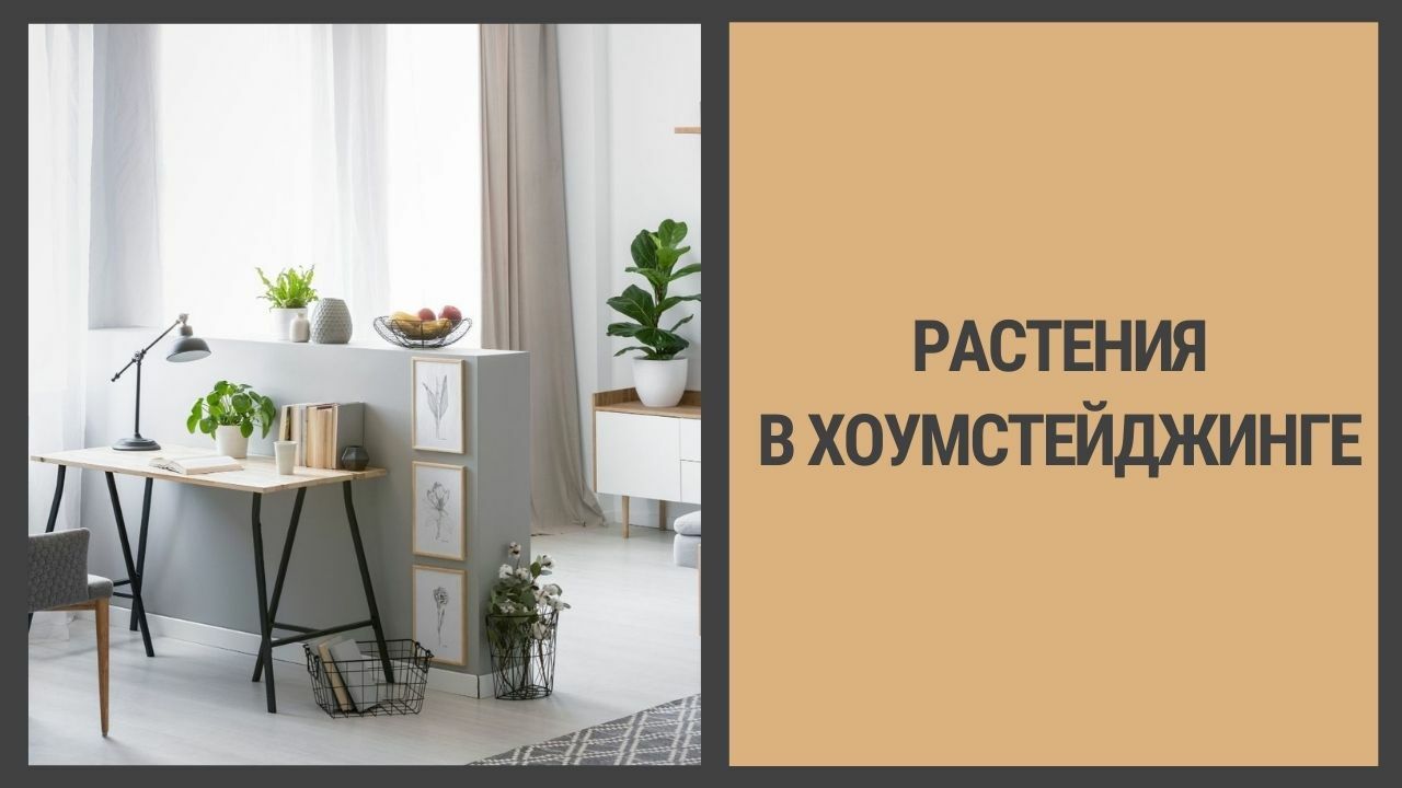 Как использовать растения для предпродажной подготовки недвижимости