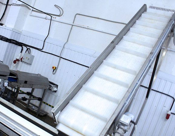 Скорожарка производитель