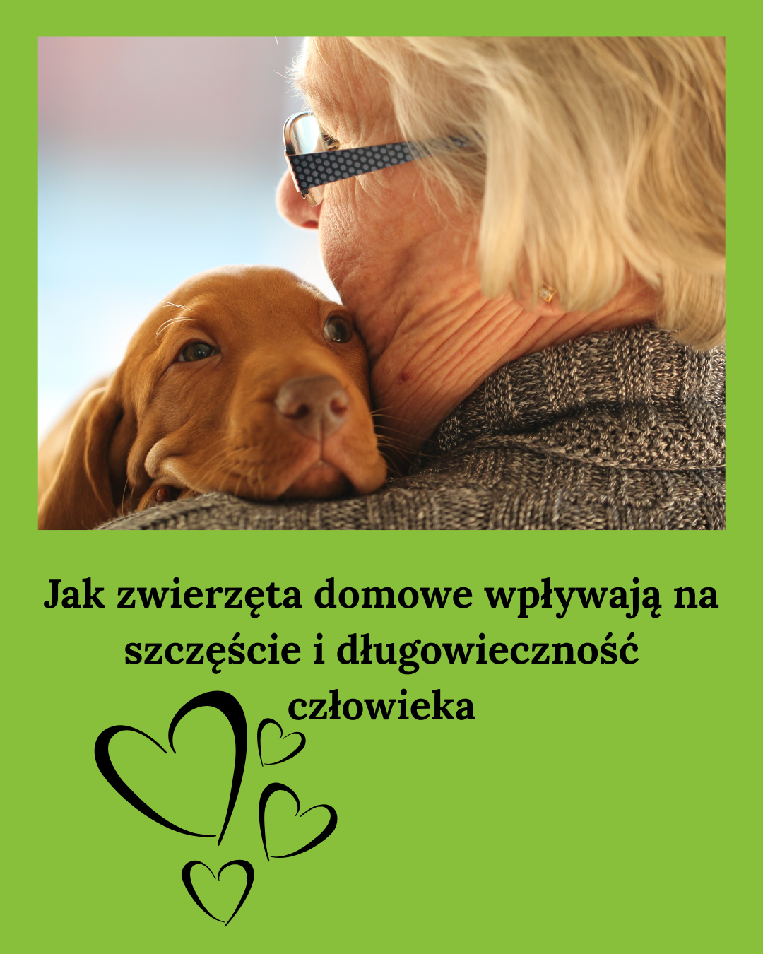 Jak zwierzęta domowe czynią ludzi szczęśliwszymi i pomagają żyć dłużej