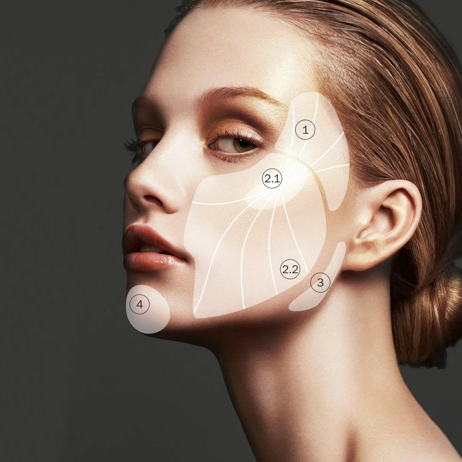 Face Contour зоны коррекции