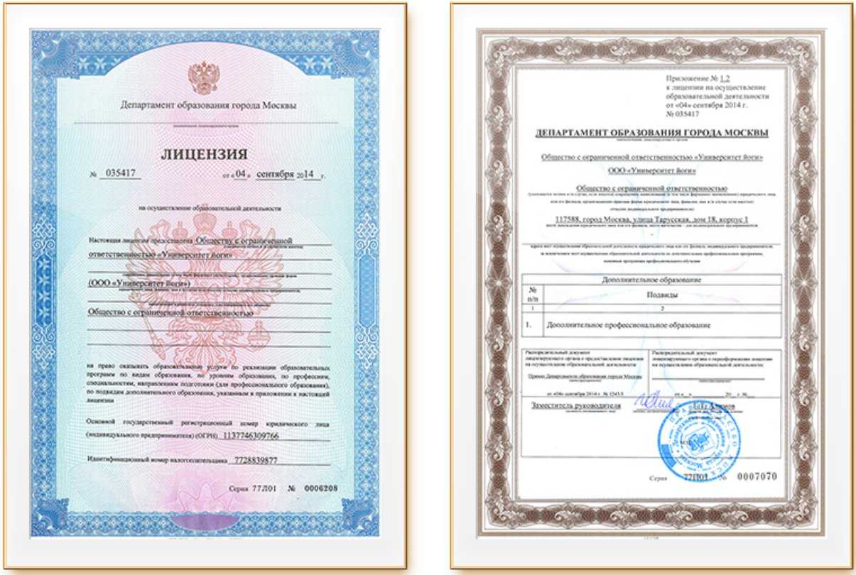 Департамент образования лицензии на образовательную деятельность. Лицензия министерства образования. лицензия министерства культуры. лицензия школа волга днепр.