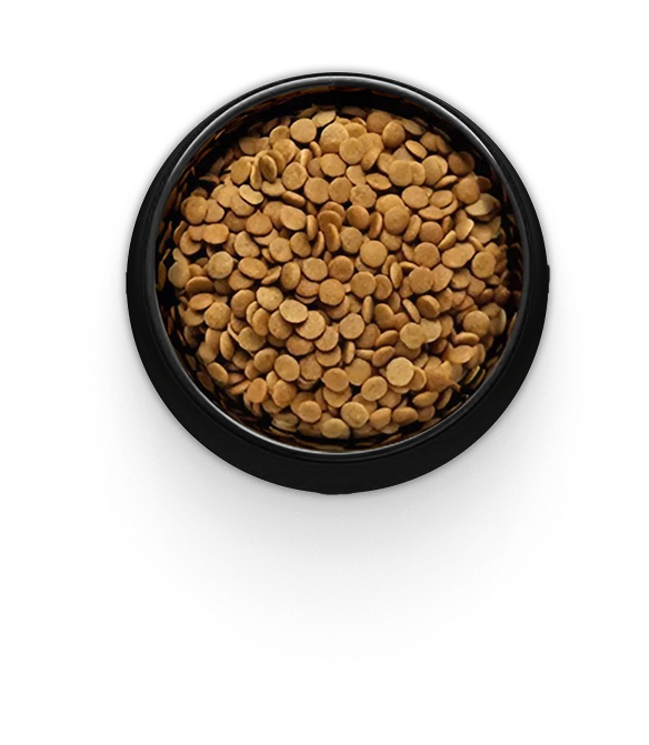 Сухой корм Ландор