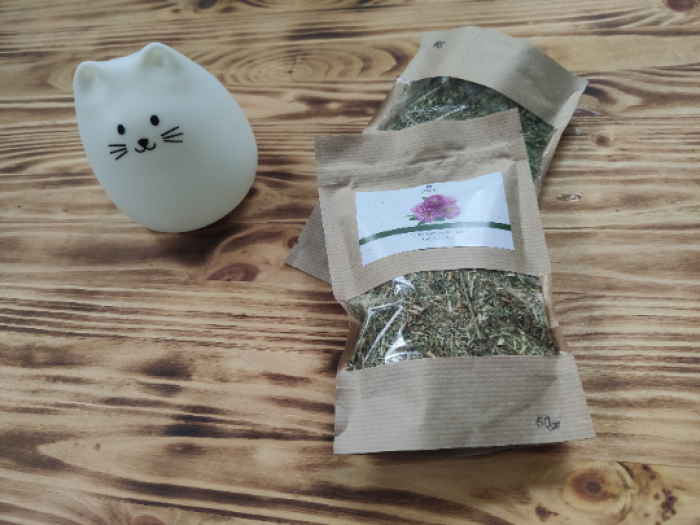 Seeds of Rouge Trefle fleur herb 50gr — Trifolium pratense — 10 pcs