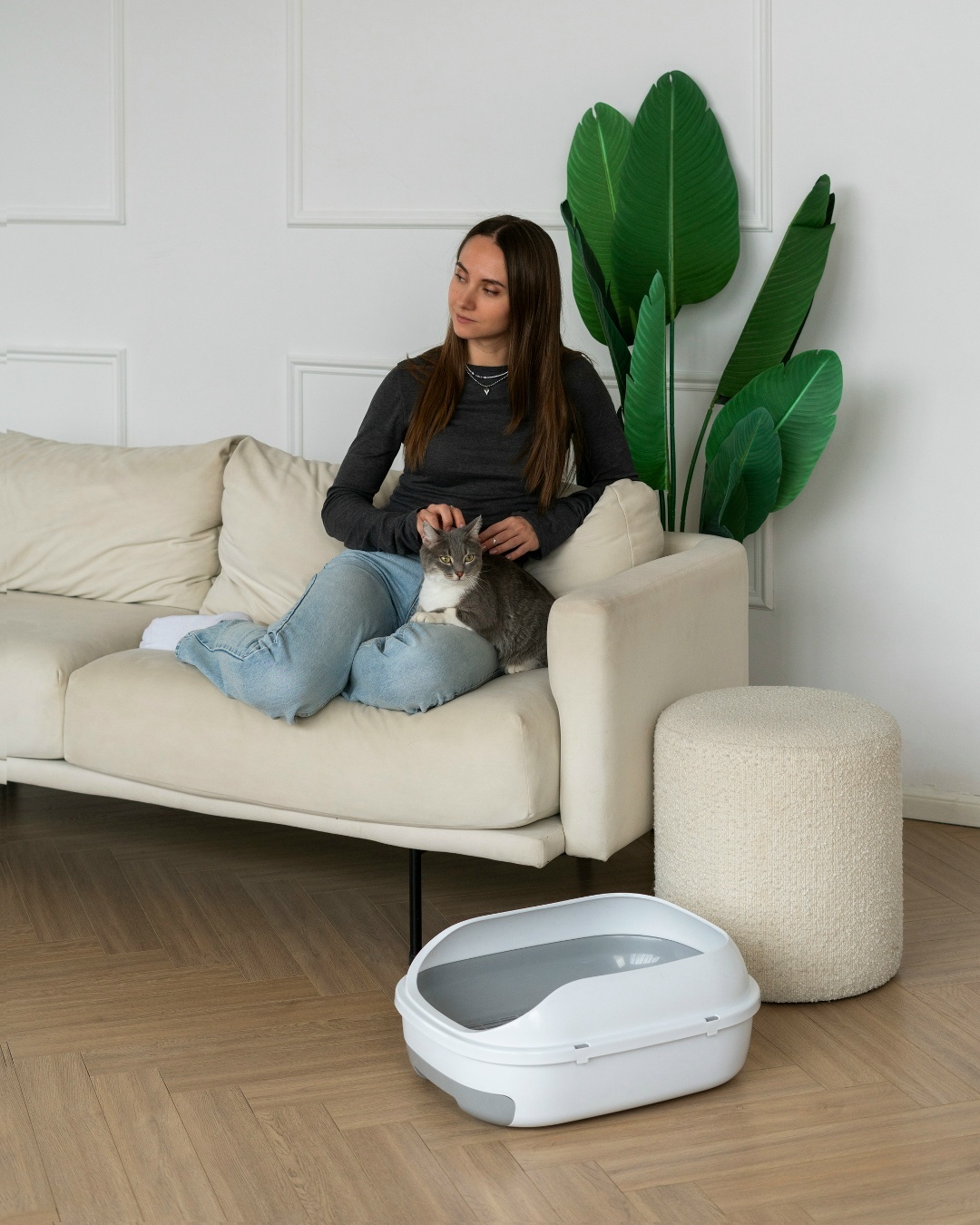 Как приучить к лотку котёнка или взрослую кошку, изображение №18