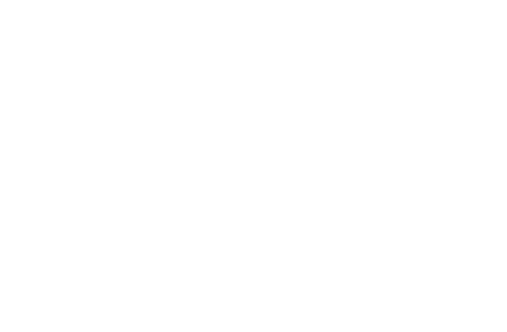 Генеральный партнёр