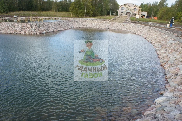 Комбинированный пруд