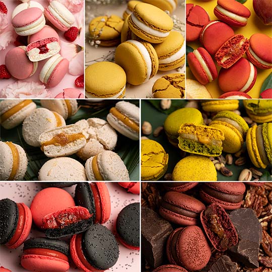 Tempting Macarons online course