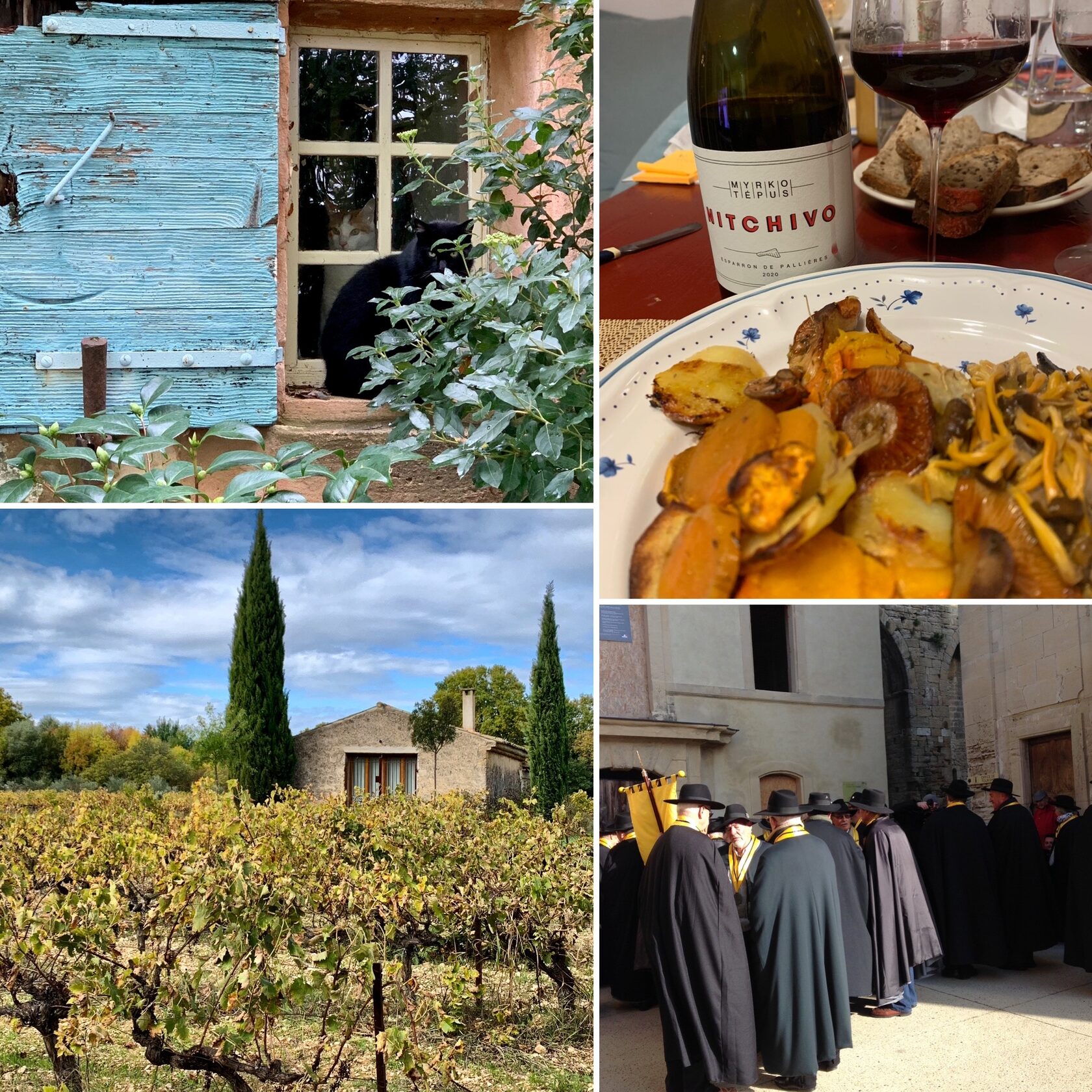 ноябрь в провансе