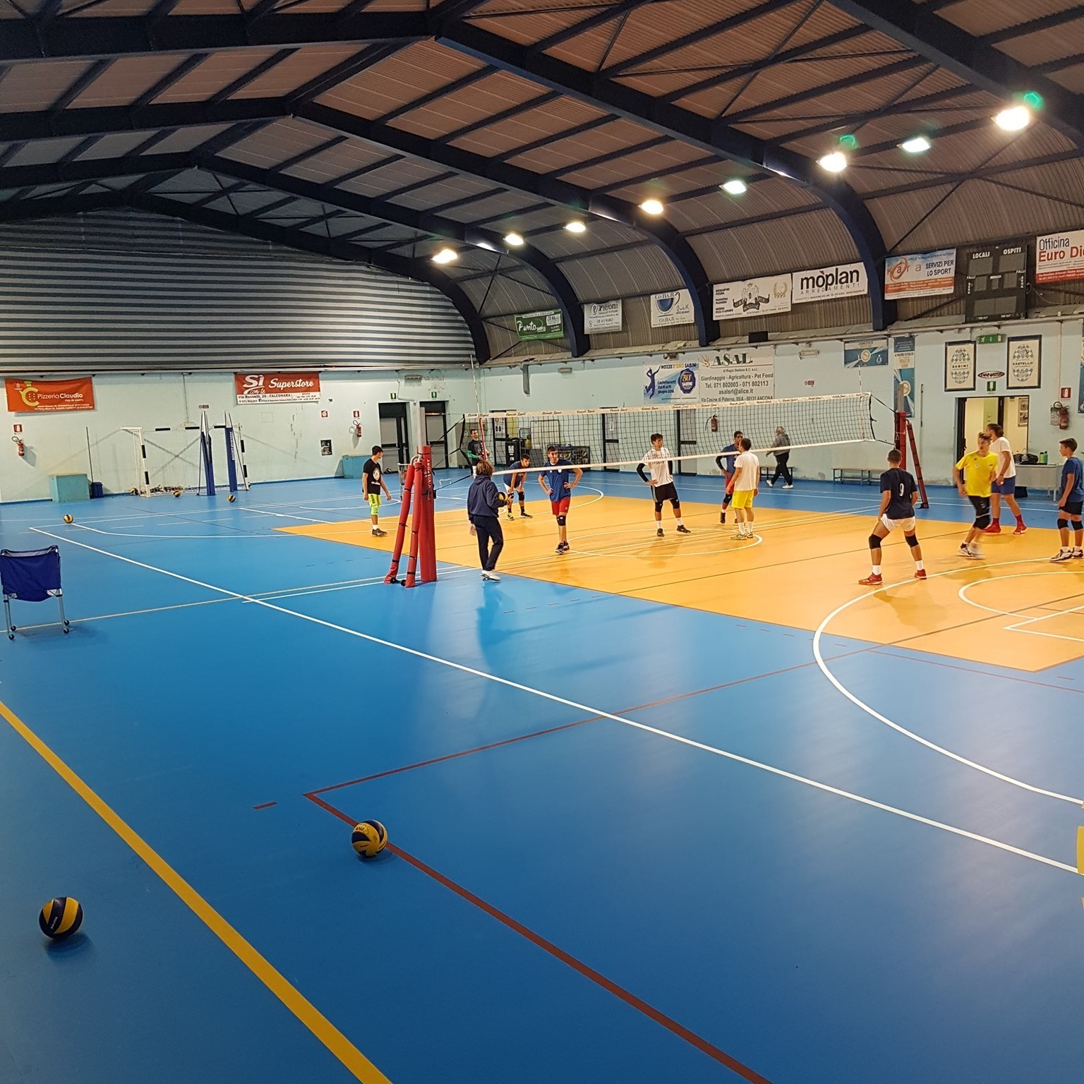 Pavisint SL 75 GYM фото 4