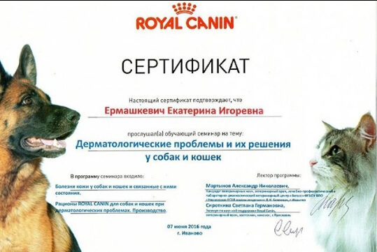 Химки Ветклиника