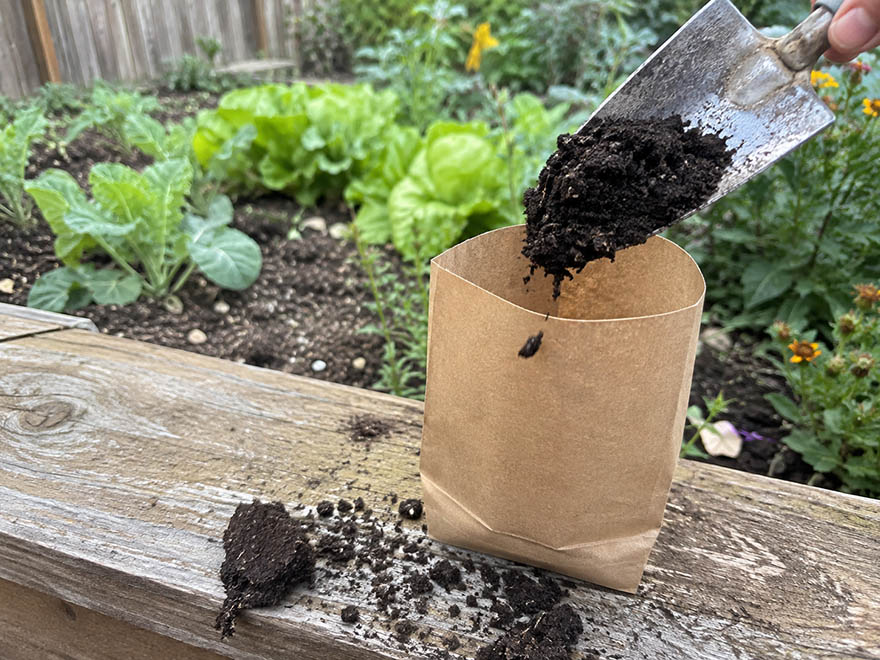 Collecting a topsoil sample in a bag for a soil lead test