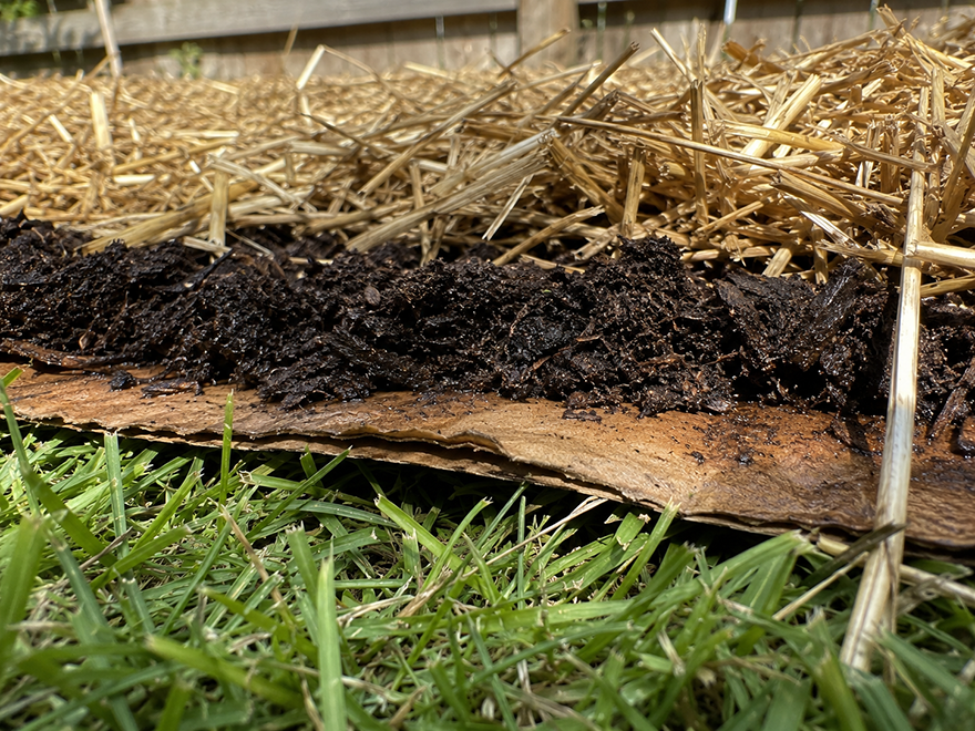 Cross-section of sheet mulching layers over lawn grass