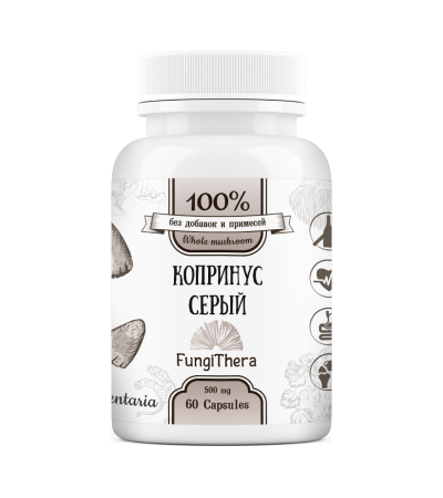 Гриб Копринус купить по выгодной цене от производителя в Санкт ...