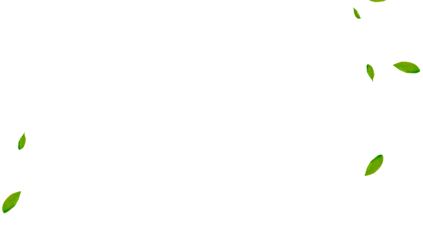 Доставка цветов в Гомеле