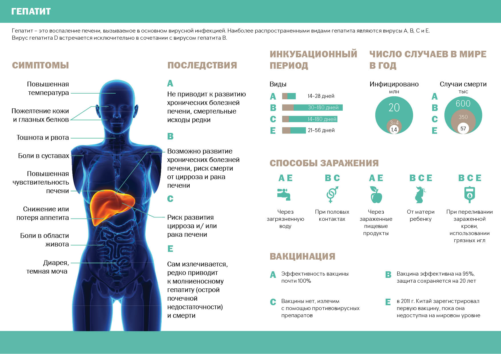 Боли в правом подреберье при гепатите печени