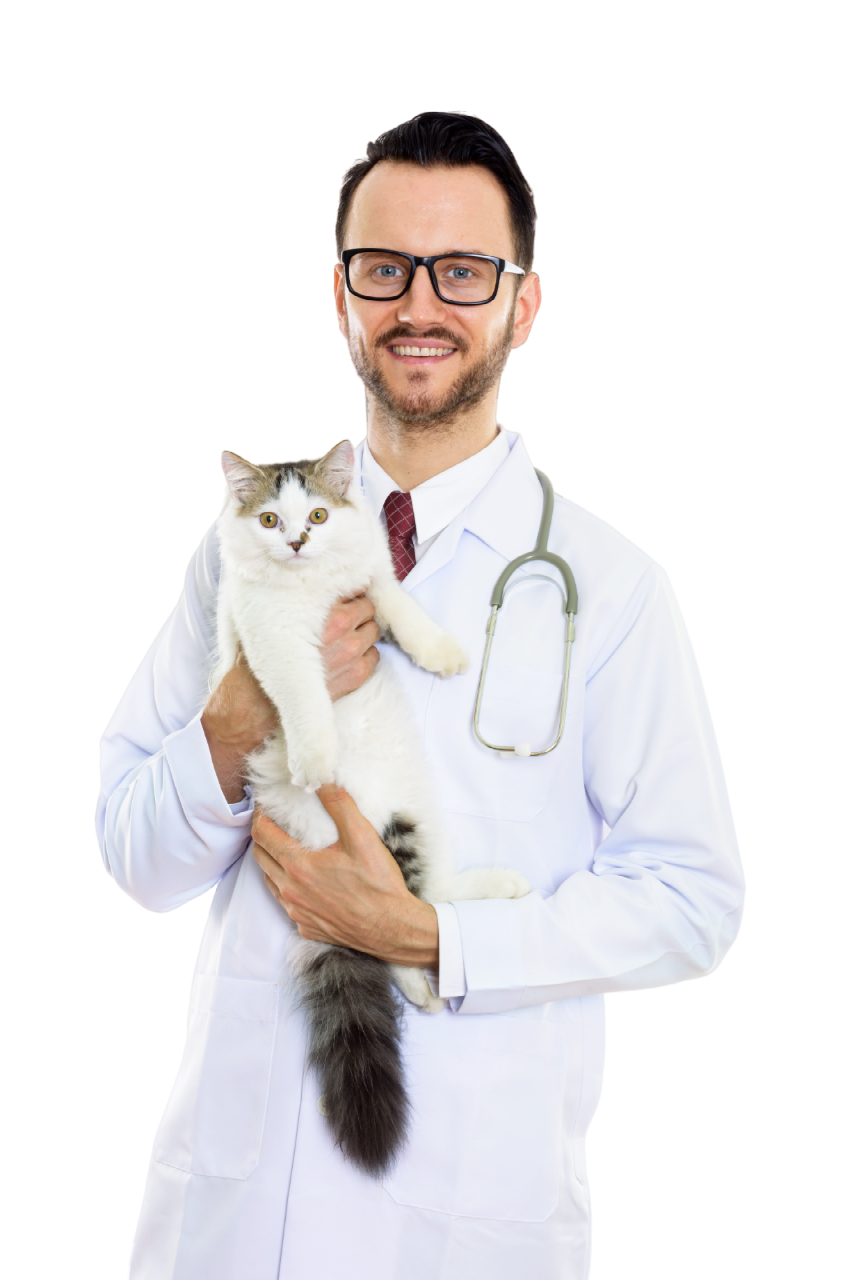 Ветеринарные услуги на дому в Москве