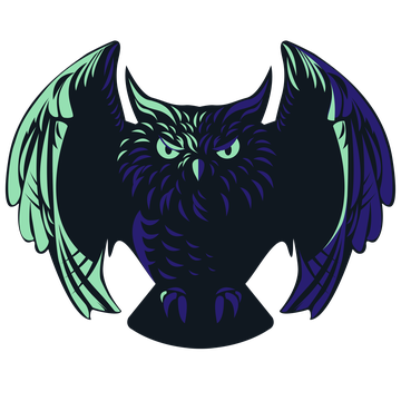 Team OWL