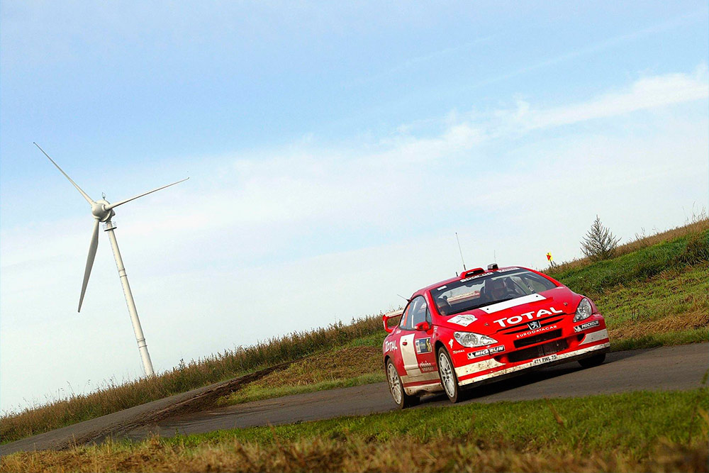 Маркус Гронхольм и Тимо Раутиайнен, Peugeot 307 WRC (471 PWL 75), ралли Германия 2004