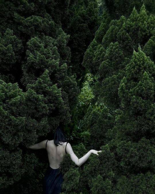 Про свободу