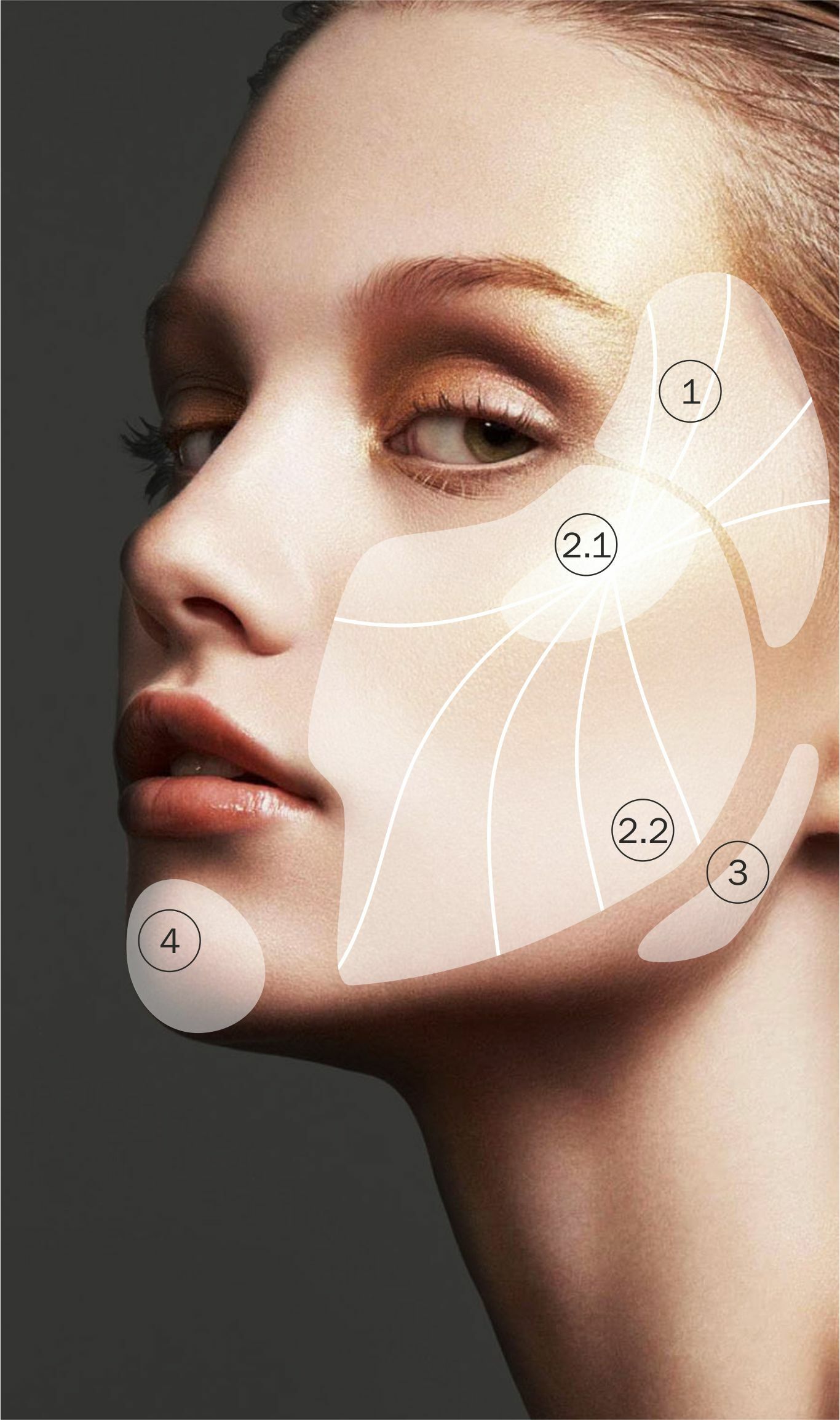 Face Contour зоны коррекции