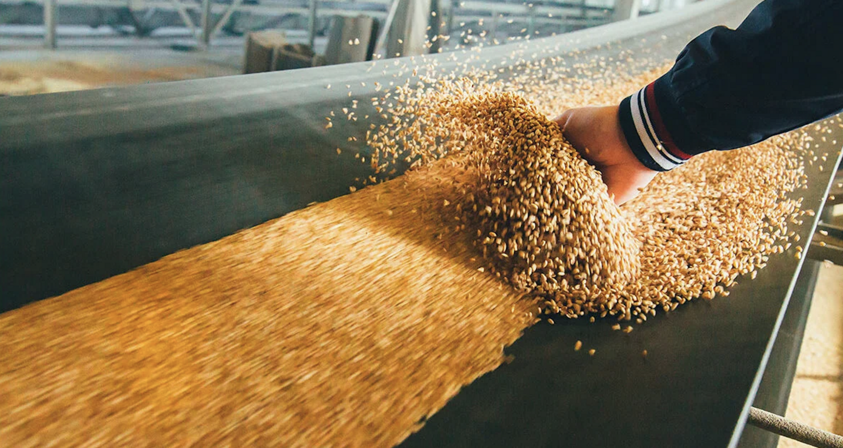 Аналитики повышают прогнозы по урожаю российской пшеницы