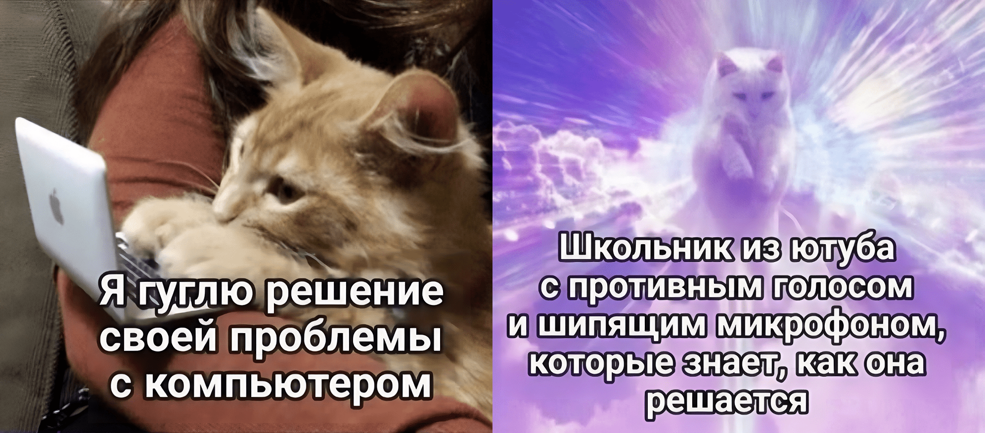 RuTube во всем проигрывает YouTube — а сможет ли его одолеть VK ВИДЕО?