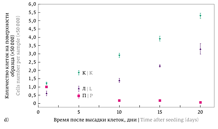 Число живых костных клеток на поверхности образцов с разным рельефом за 20 суток: канавки, лунки, гладкая поверхность