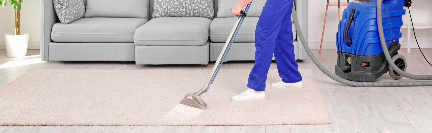 Professional carpet steam cleaning фото 100