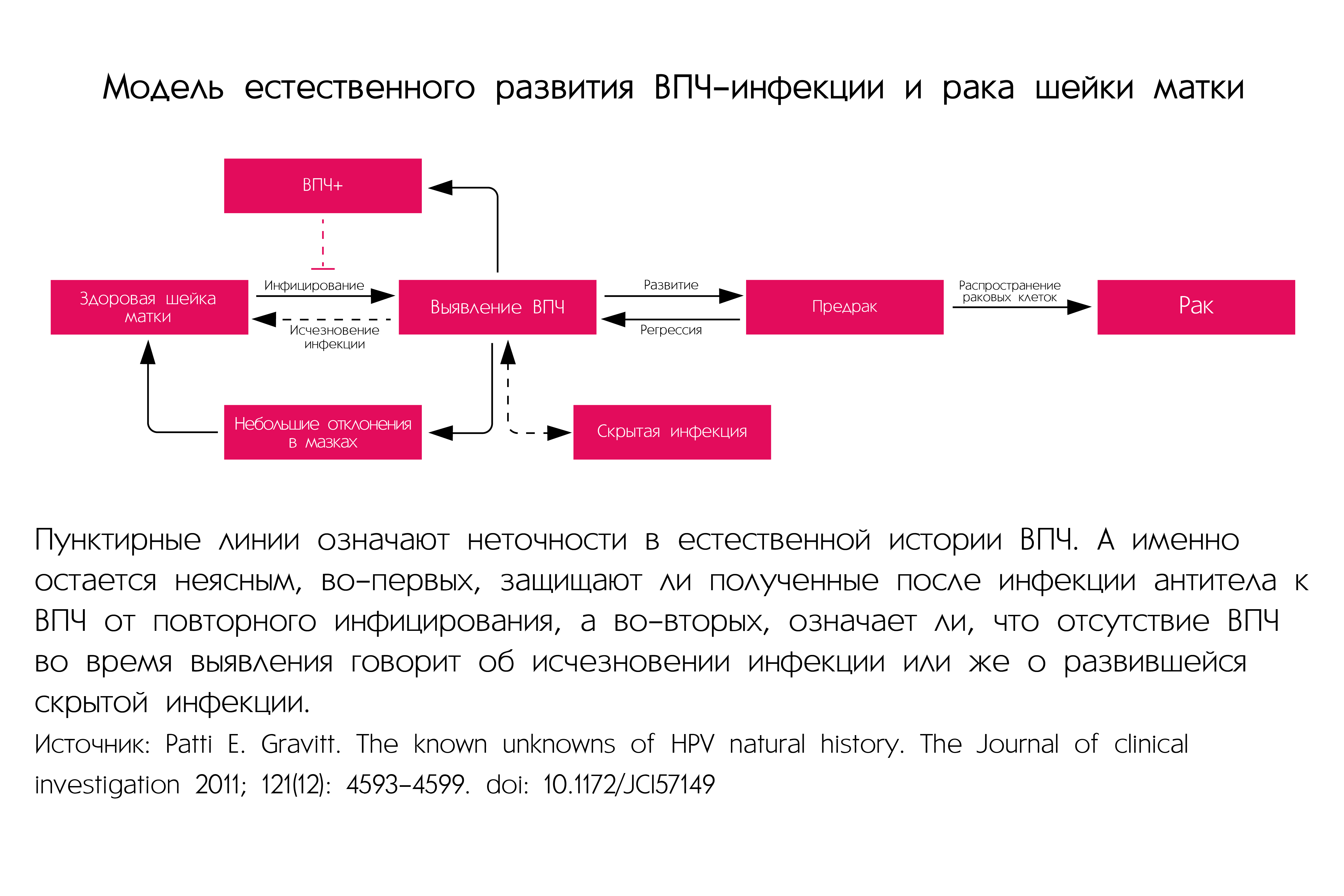 Схема лечения впч