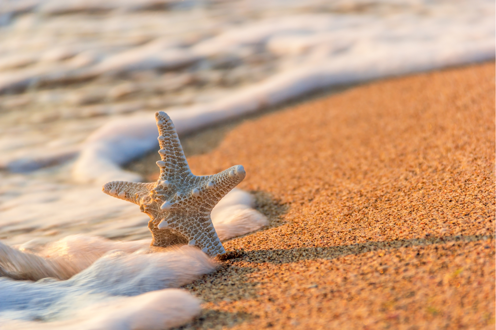 Италия. Феррагосто